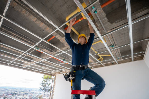 Best Plumbing Inspection Services  in Owingsville, KY